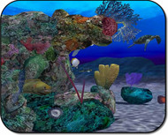 DiveVisions screenshot